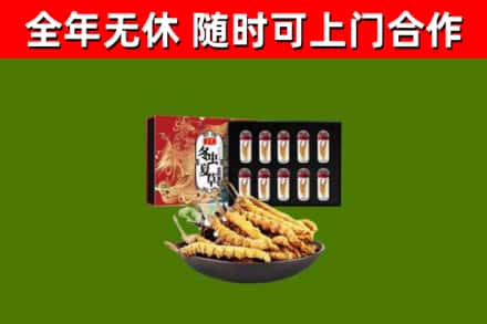 临颍回收冬虫夏草价格