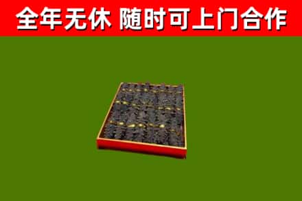 临颍回收海参